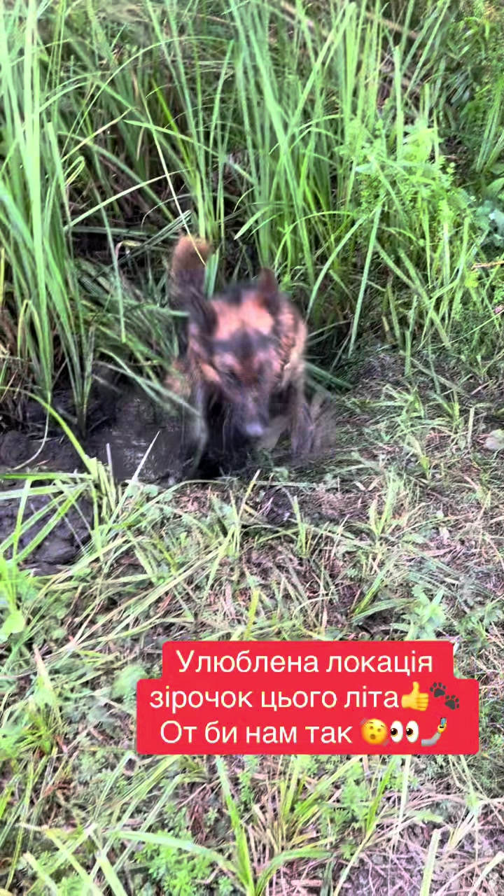 @Наташа Мазур.