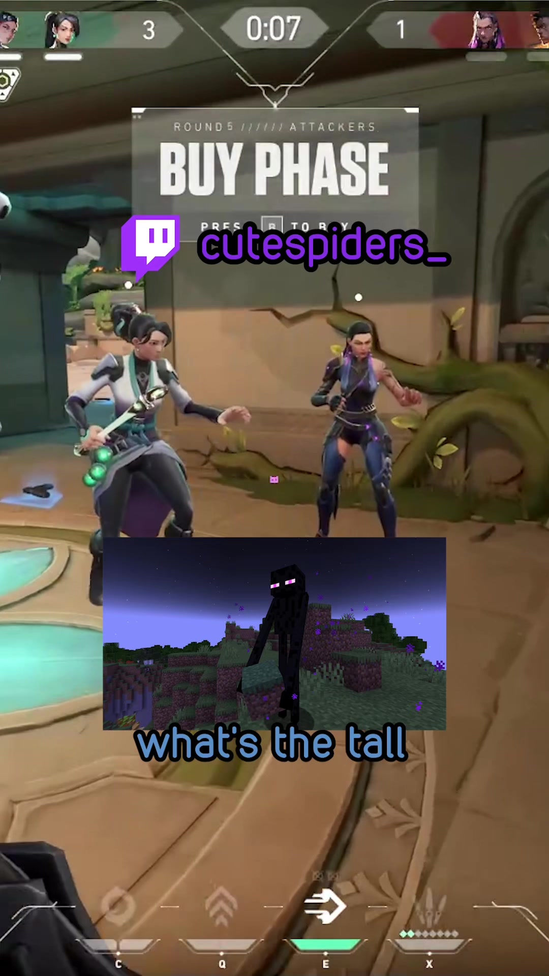 @cutespiders 🕷️🕸️