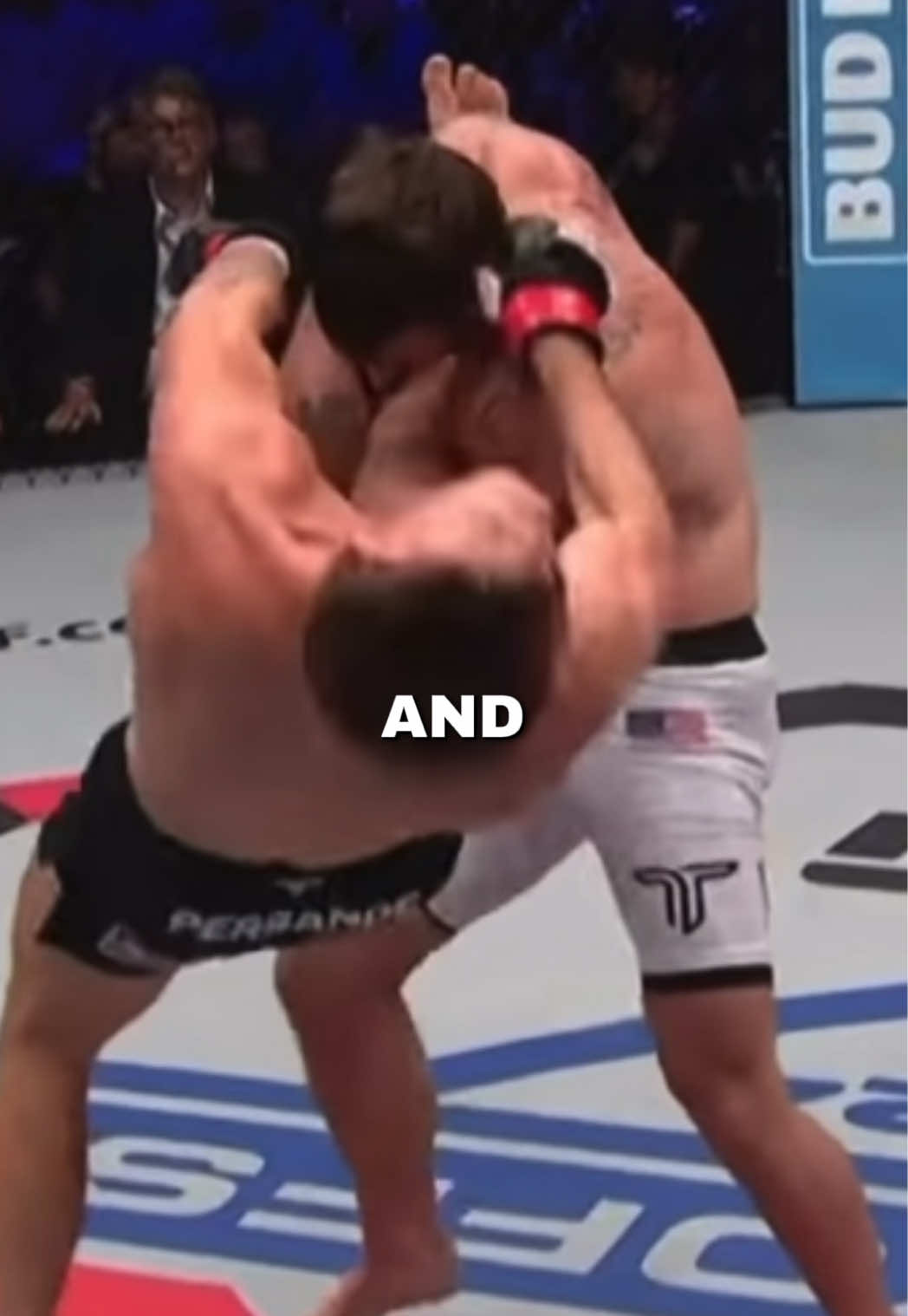 @Alexei Pergande