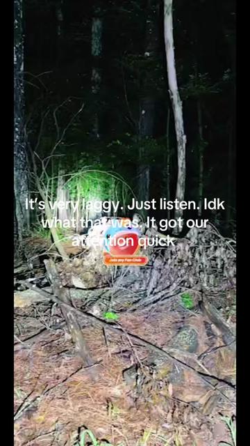 @🕯️✨Porchlight Paranormal✨🕯️