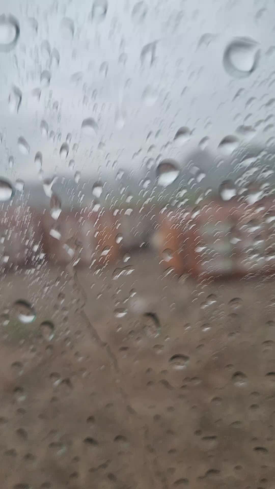 @Rex Tejeda