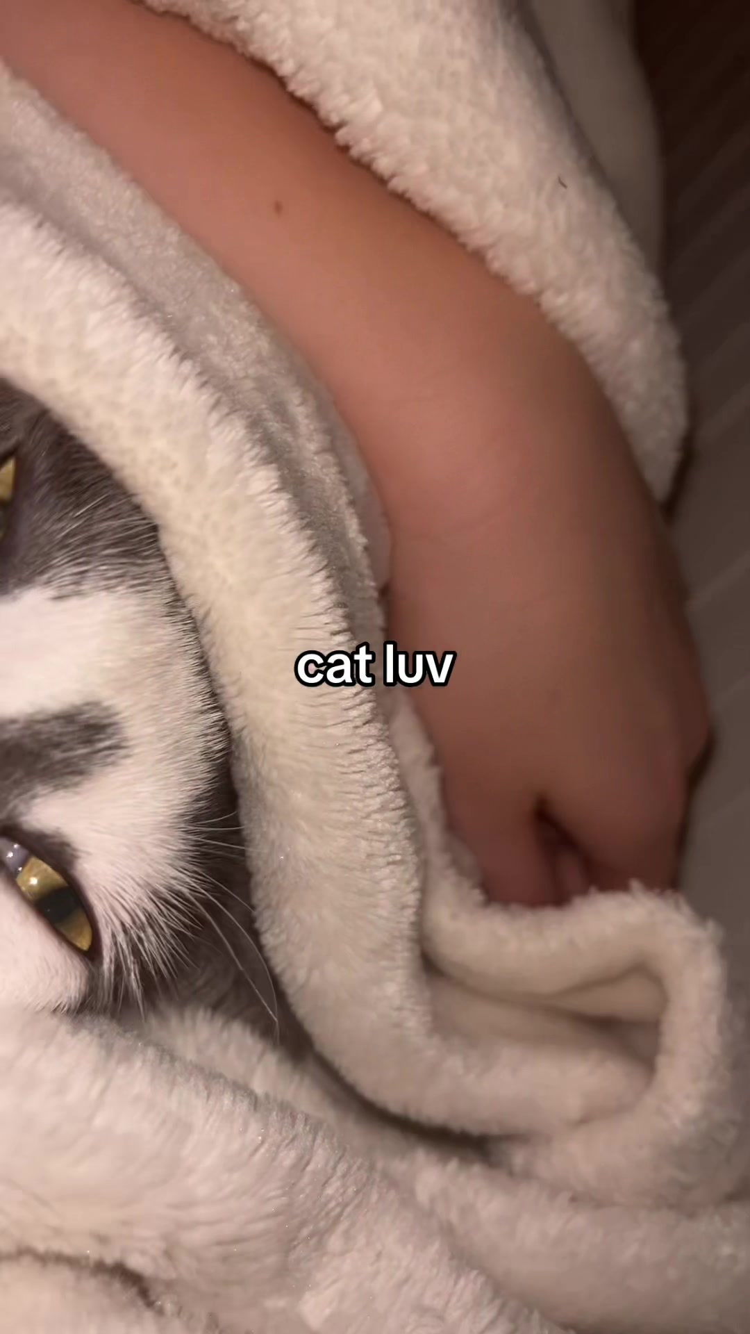 @🐈&zwj;⬛