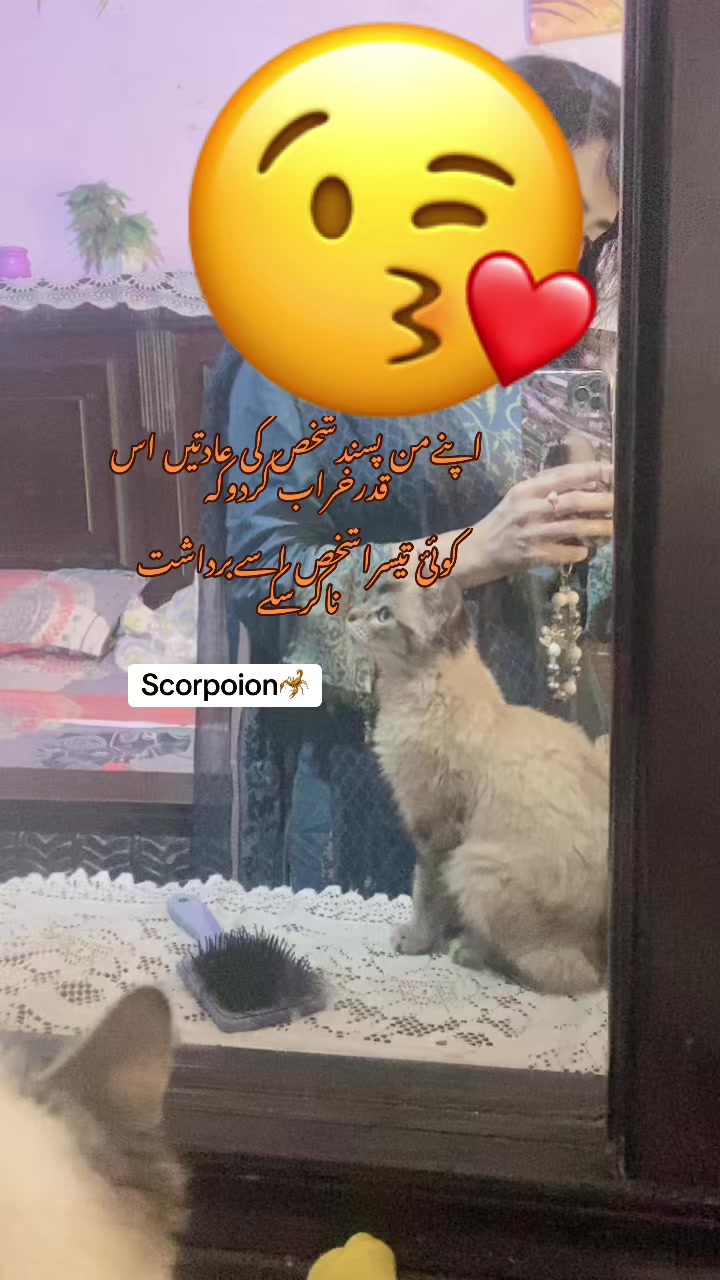 @❤️نعلینِ زاھرہ❤️