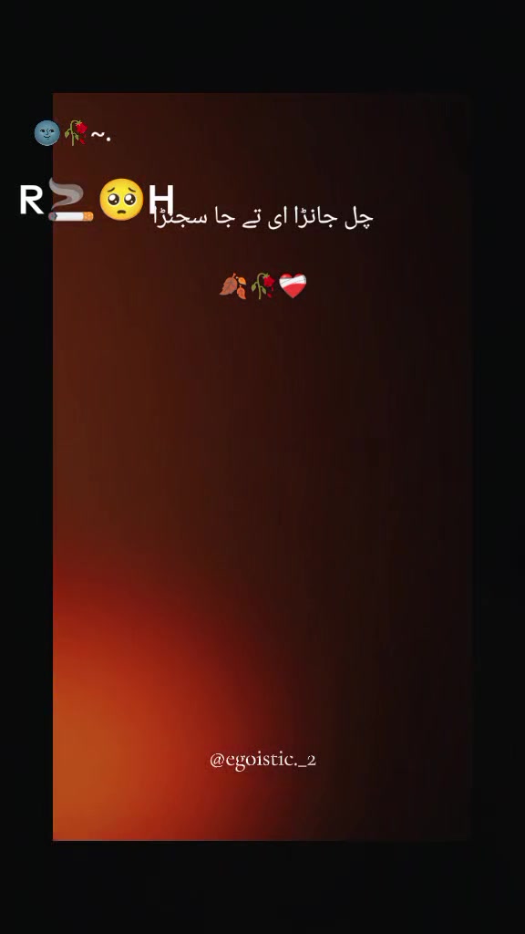 @🤑شیخ صاحب 341