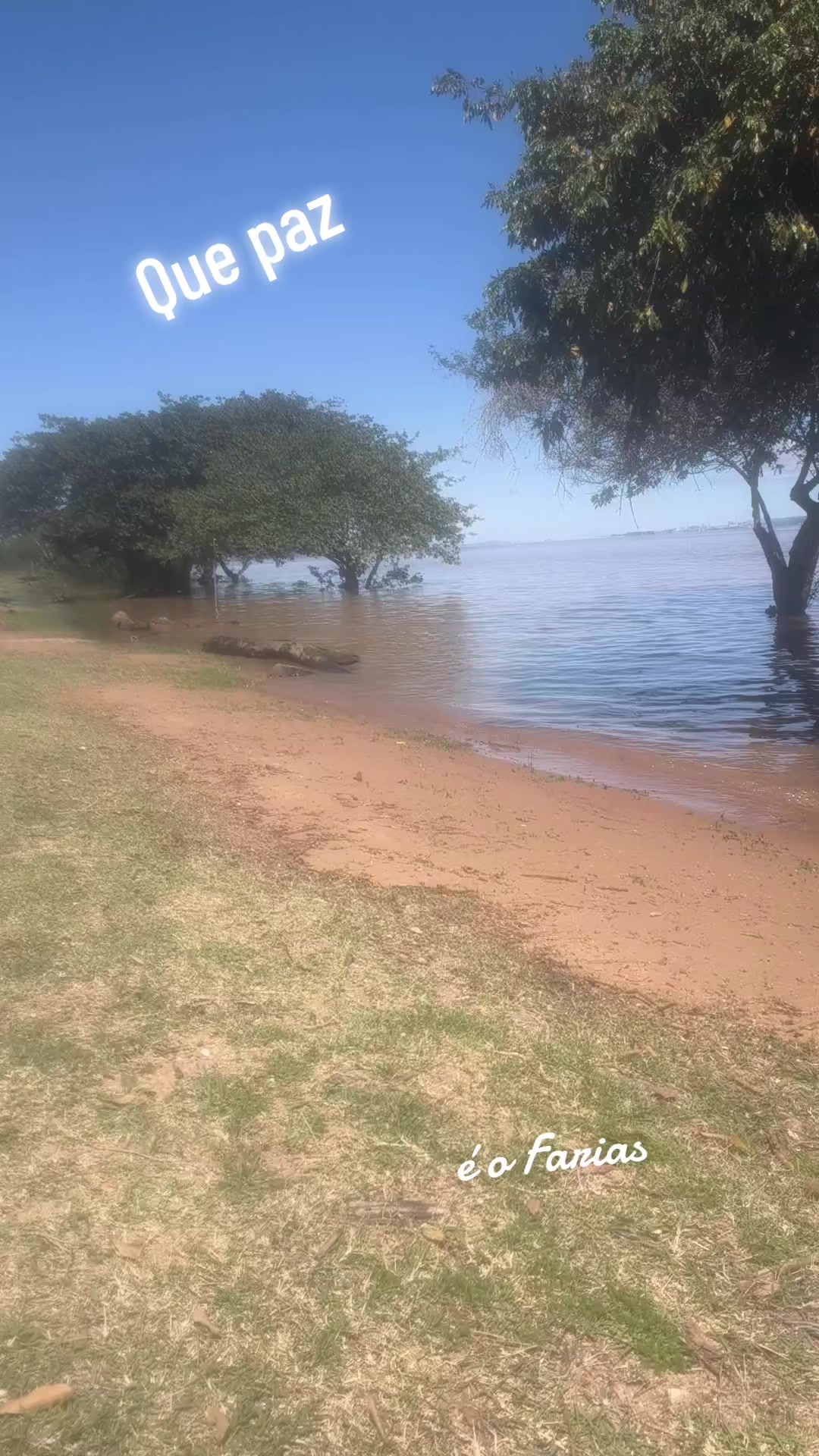 @Noninho Farias.