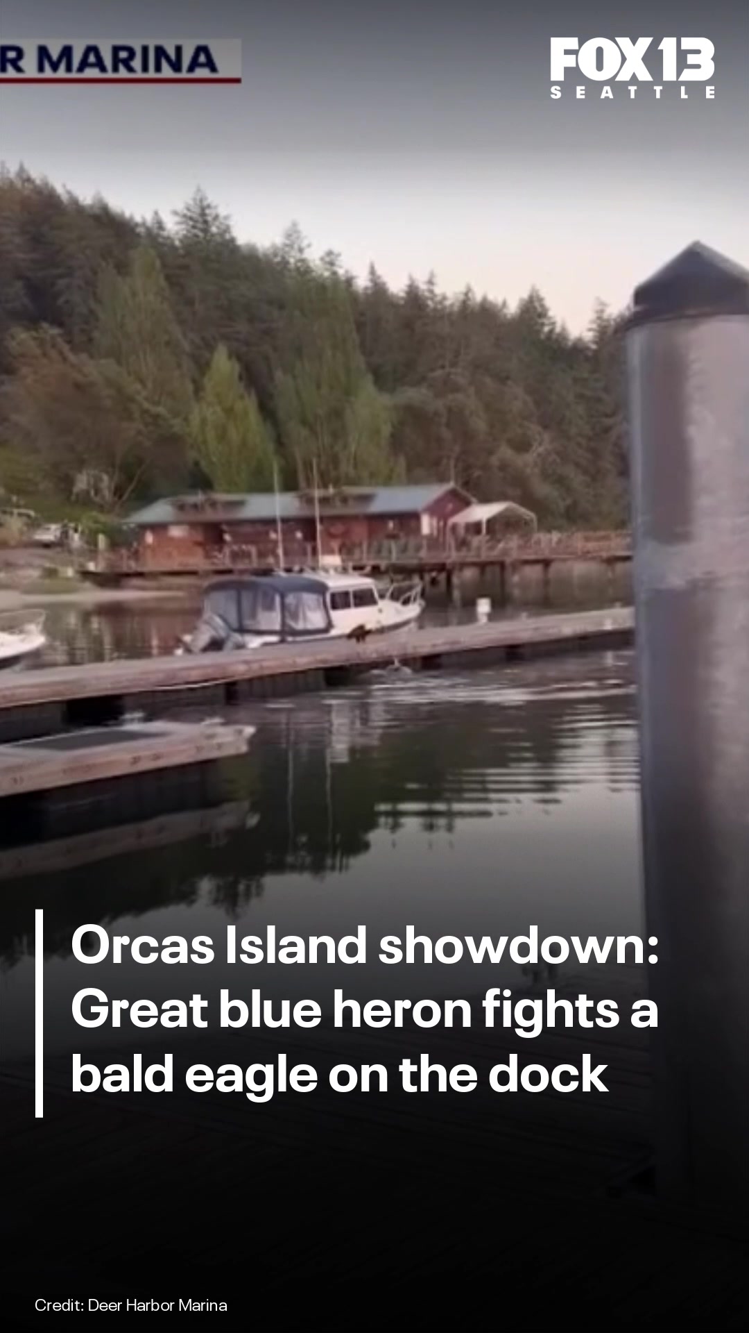 @FOX 13 Seattle