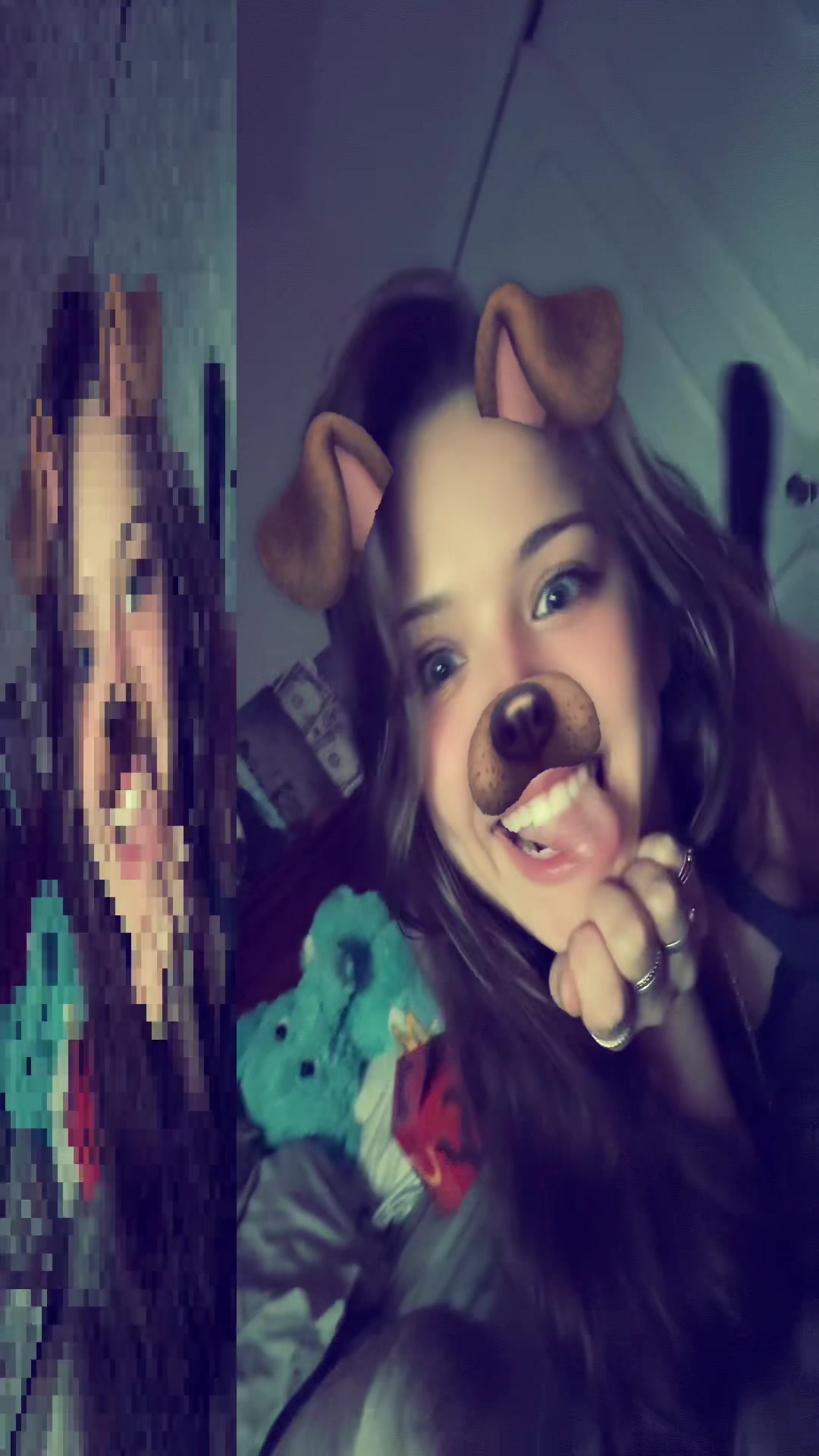 @SiameseDream