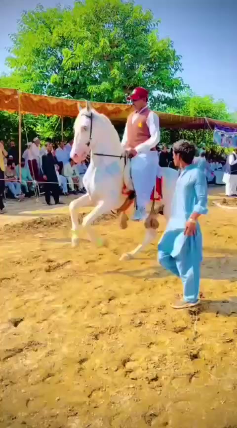 @🐴❤️🔥