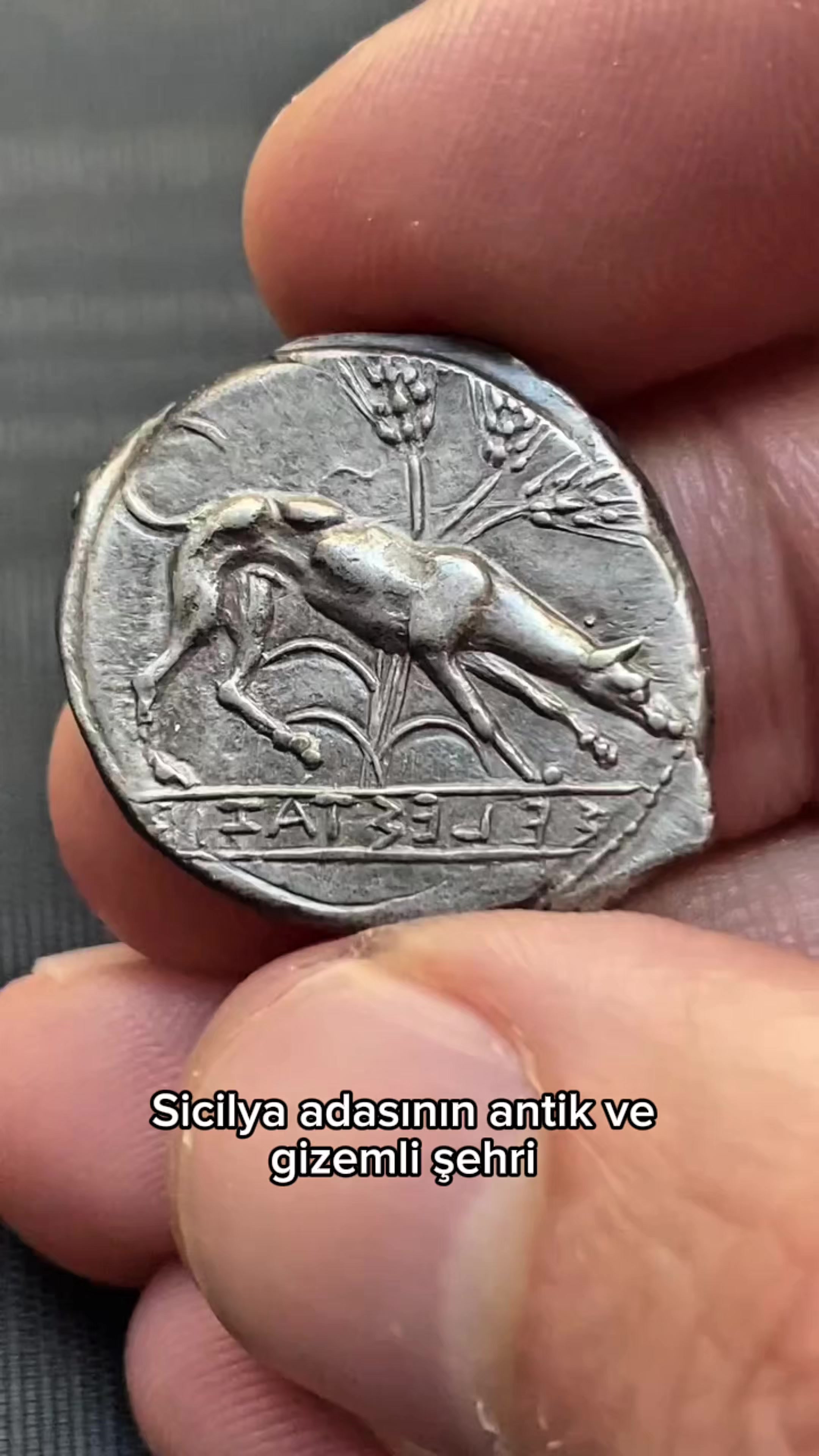 @sikkedefteri