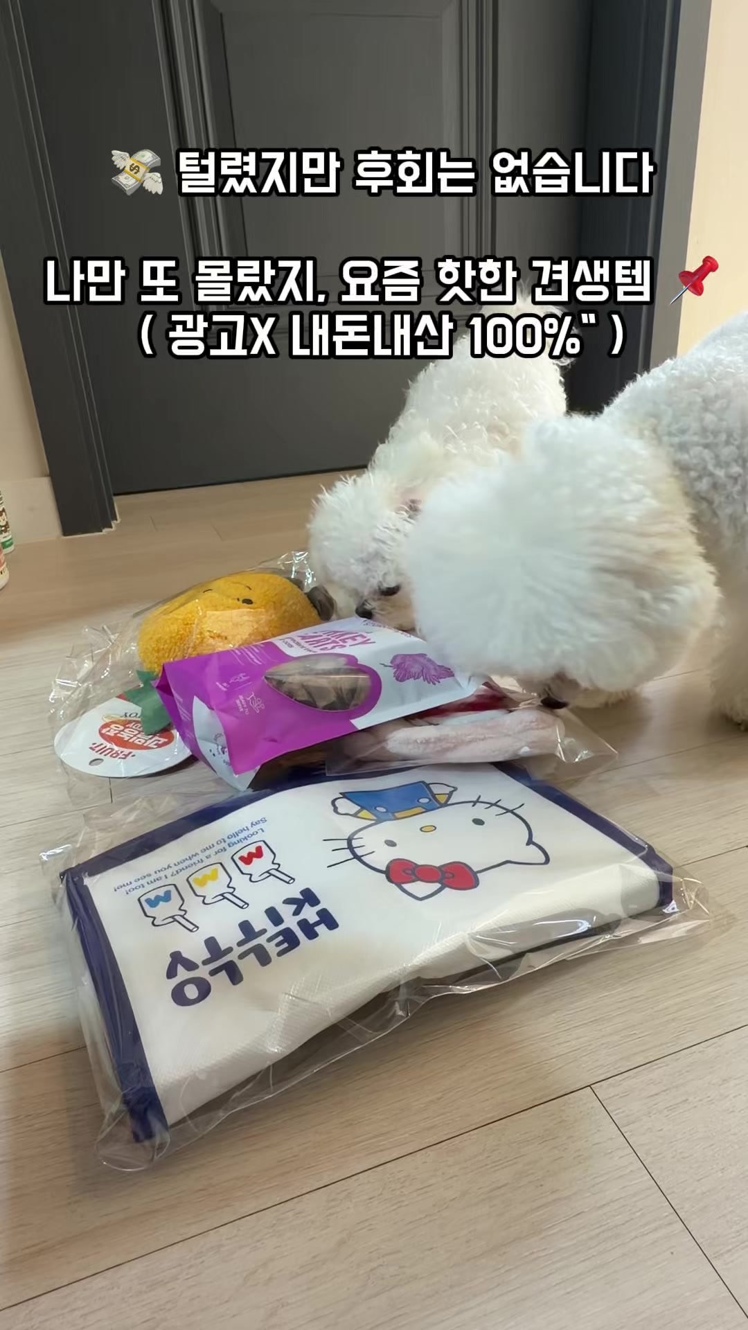 @jeju_kiki
