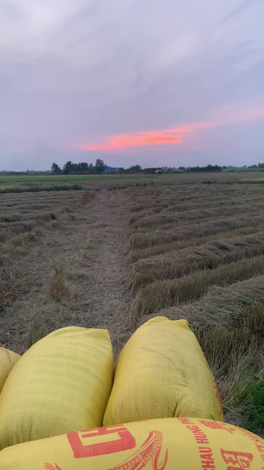 @Cu ba bịp 🤫
