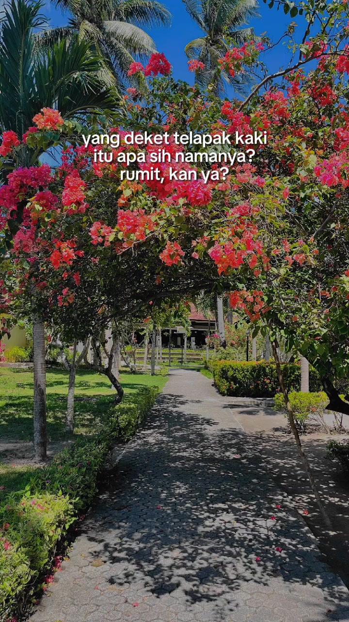 @Sempur