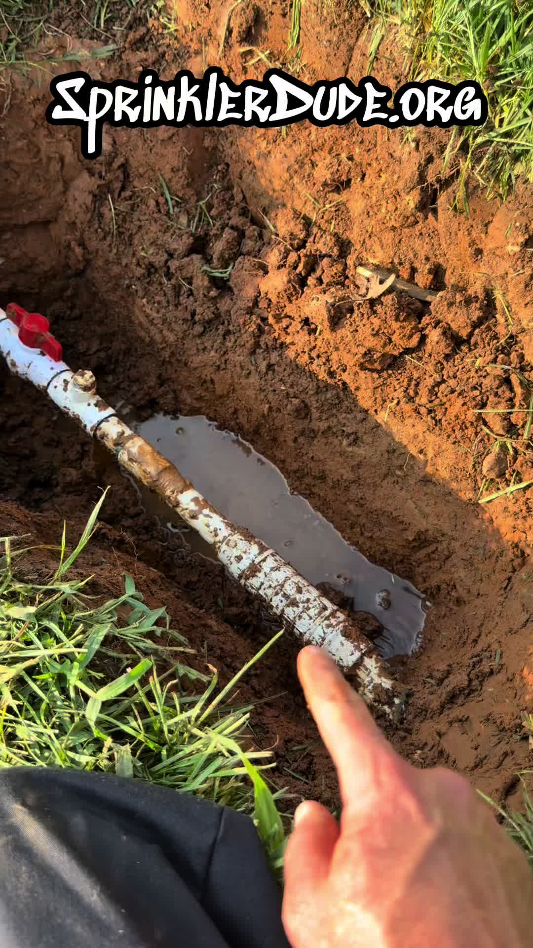 @SprinklerDude