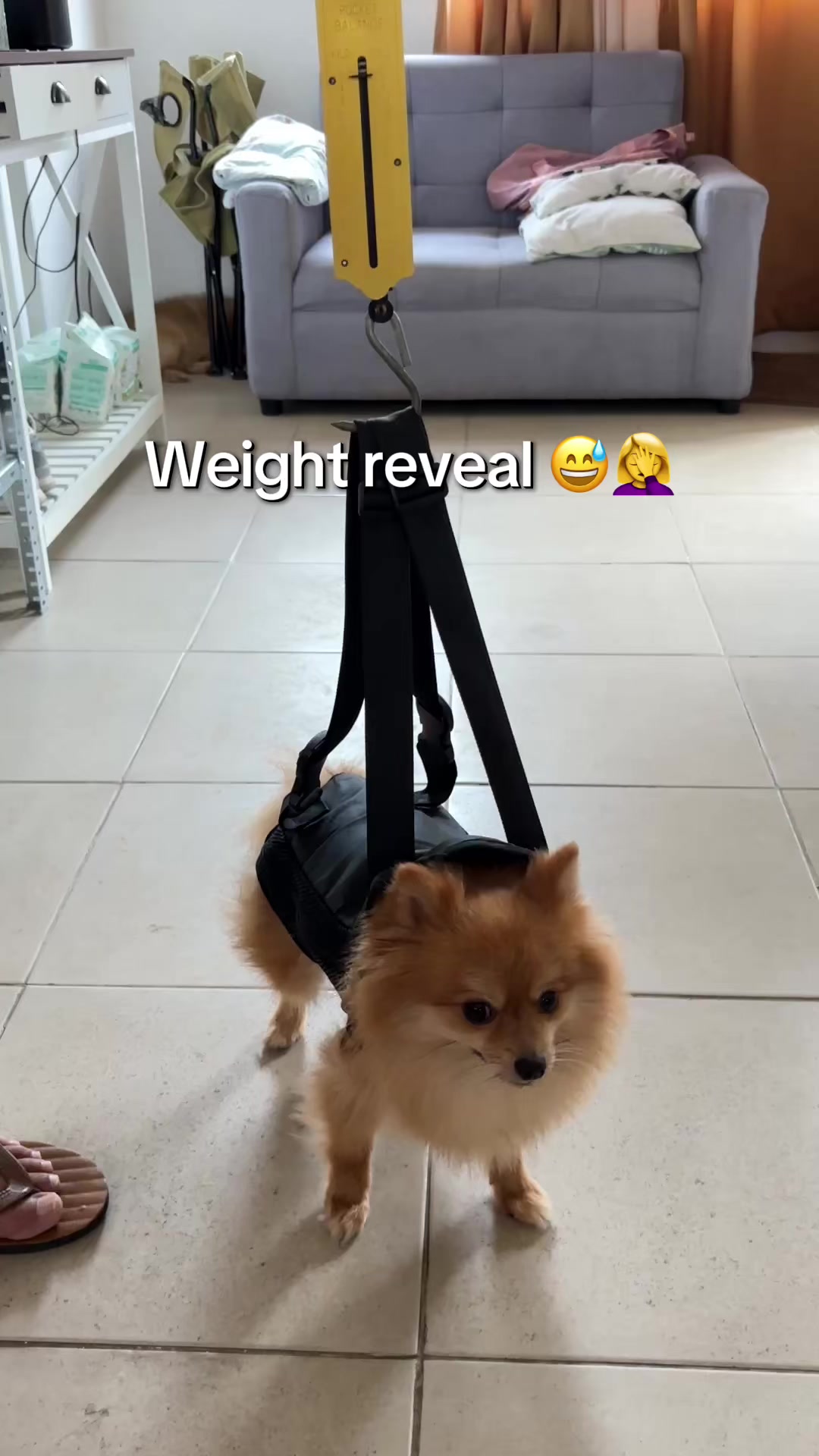 @IG: @mainevillanueva ๐งฟ๐