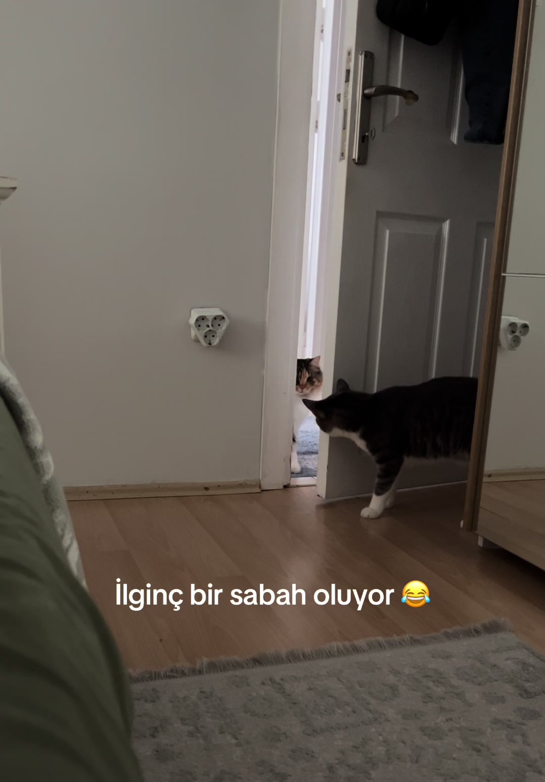 @konusankediminnos