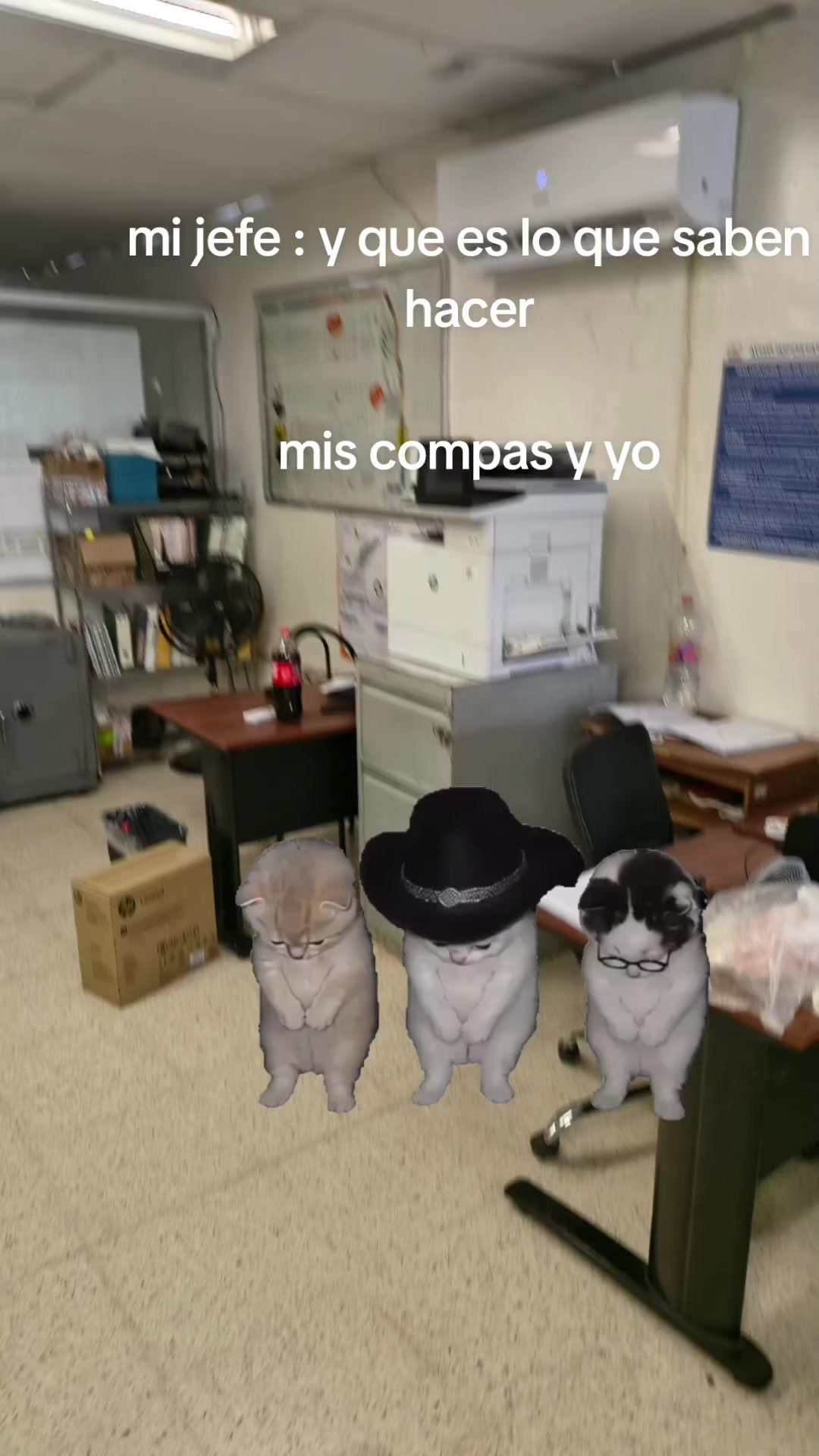 @Gopita Julho