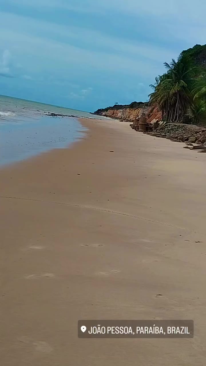 @Alex_1998_