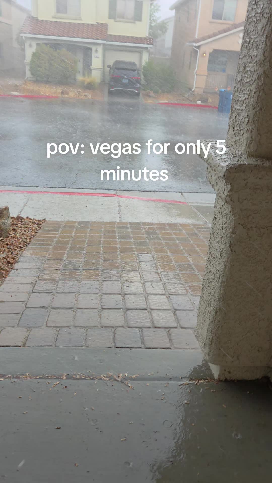 @VegasWithNessa