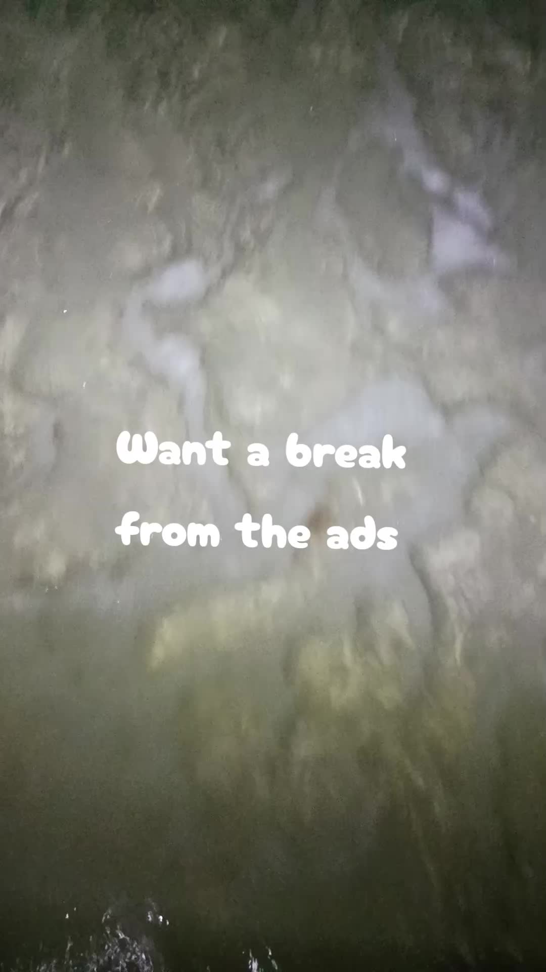 @Alina