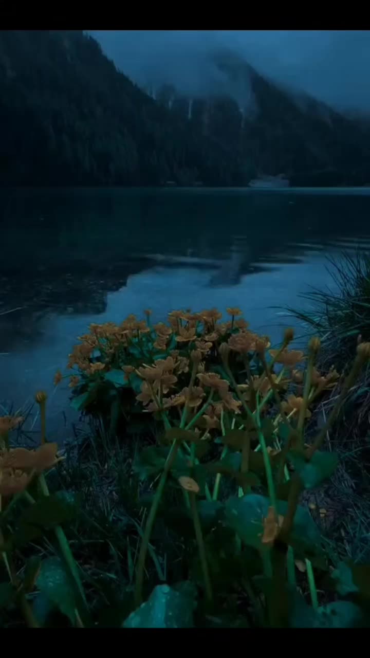 @صلى على النبي