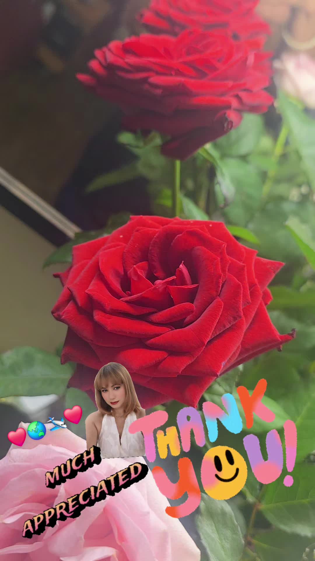 @beautifulasmeh