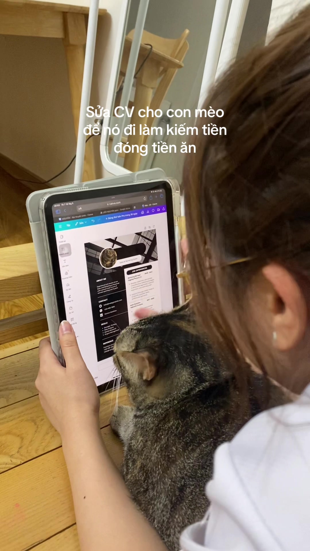 @sendituyen