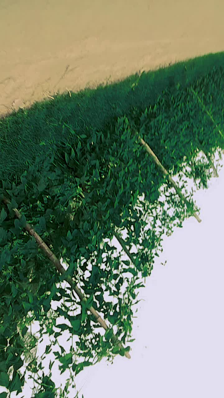 @আজমির992