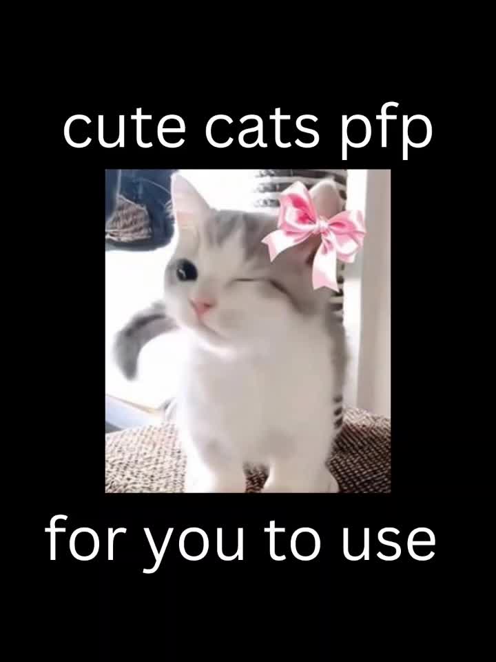 @Pfp Ideas