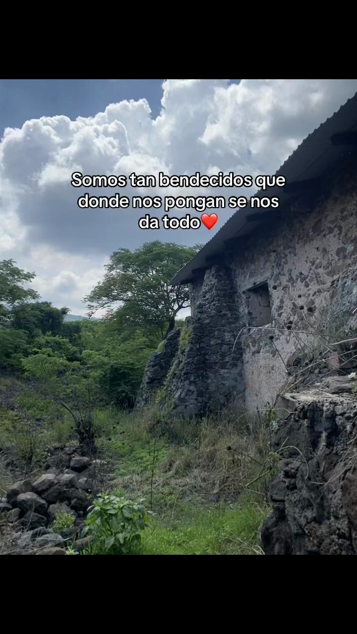 @Eddy Vargas