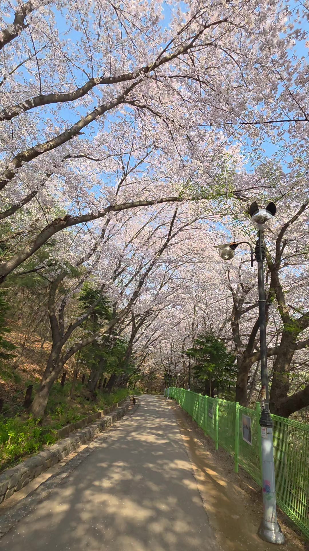 @kiho kim@