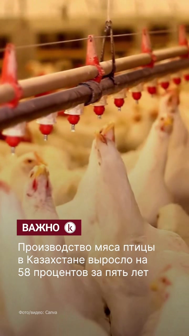 @KAZINFORM