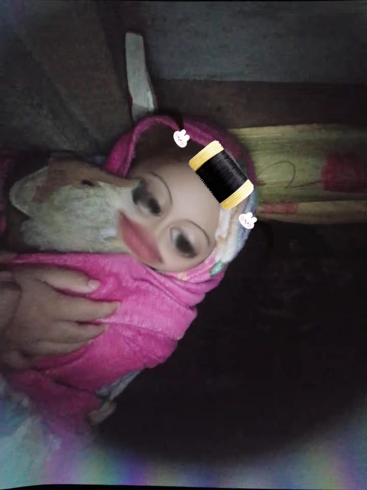 @❃꧁꙳Lulia꙳꧂❃