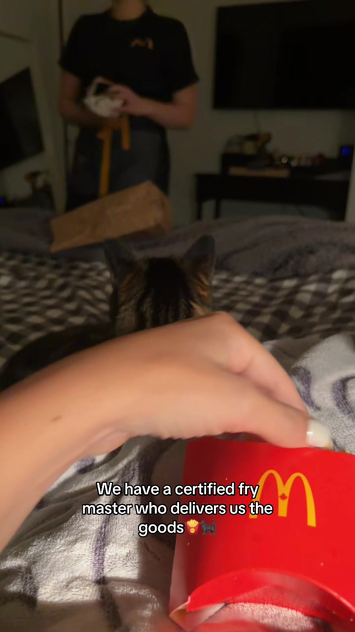 @Bmichaud