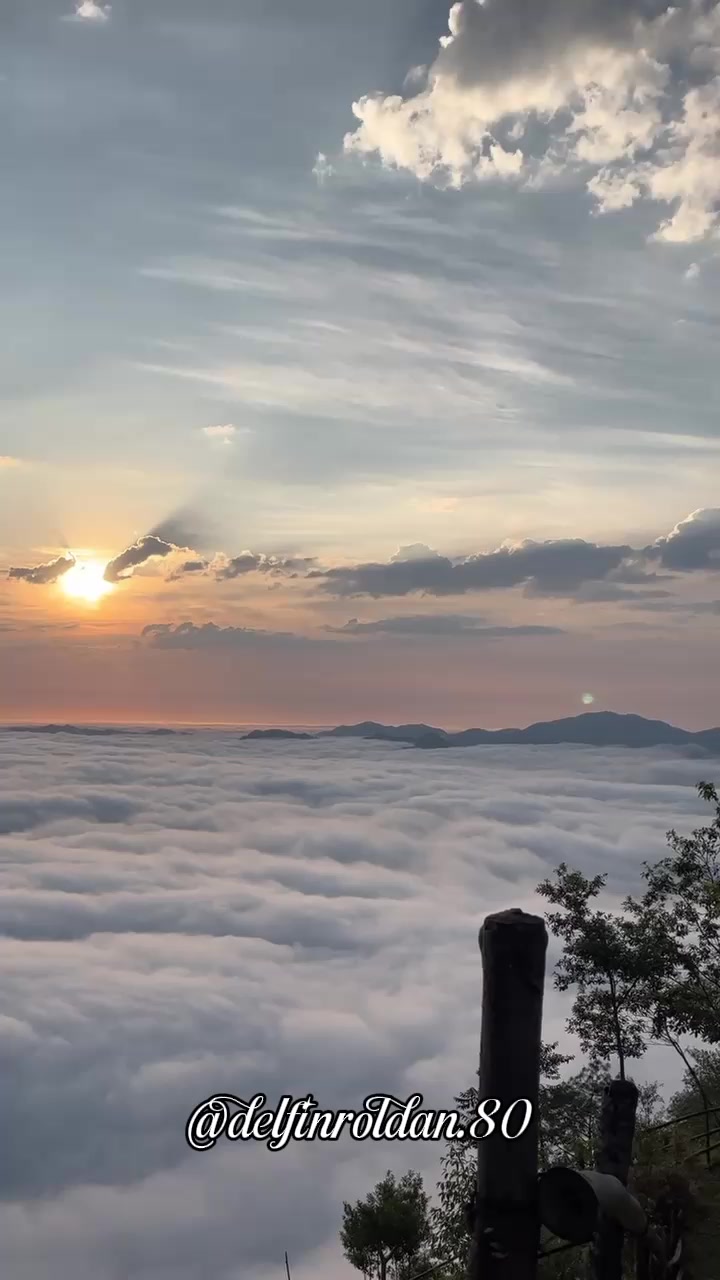@Delfín🇪🇨