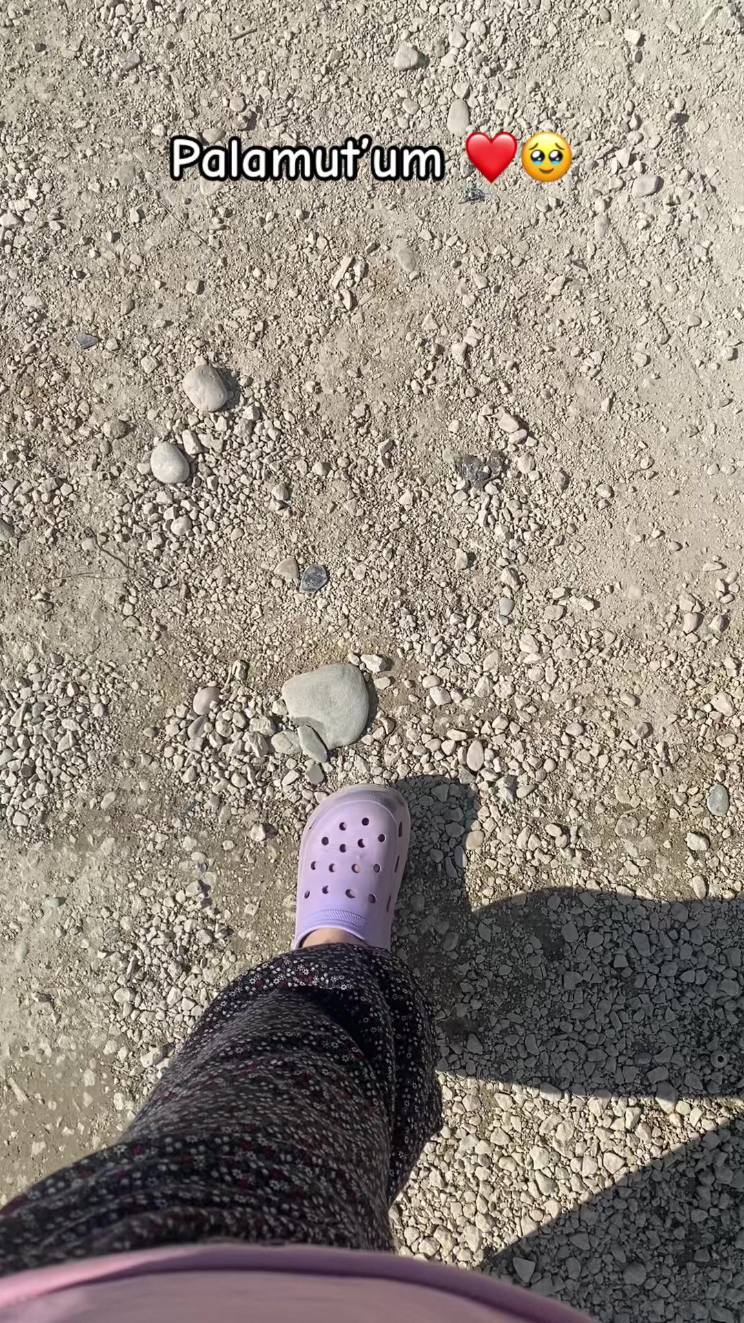 @busesr1