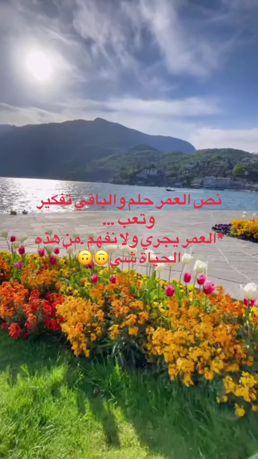 @Noura Awawda