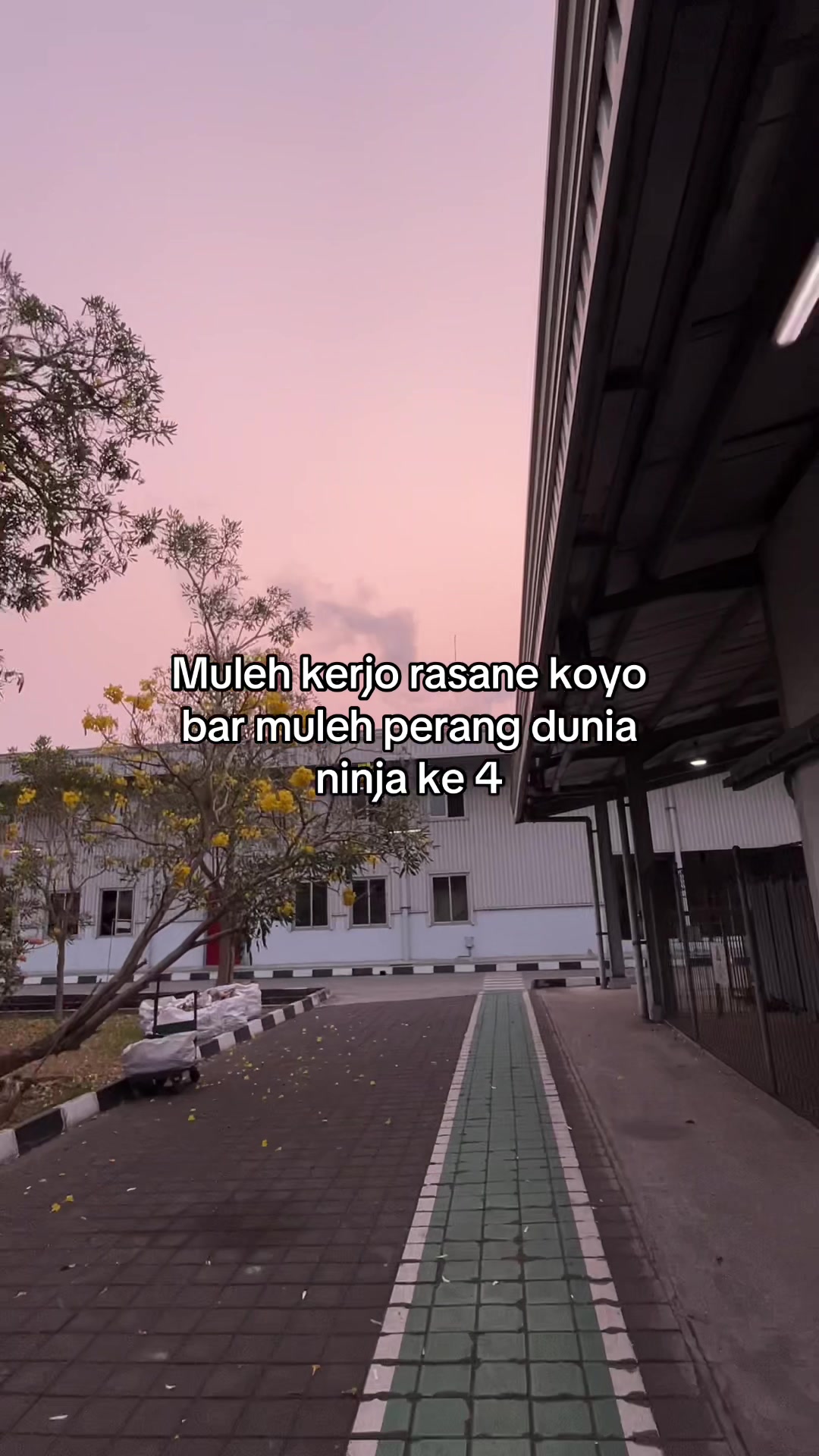 @Nino 