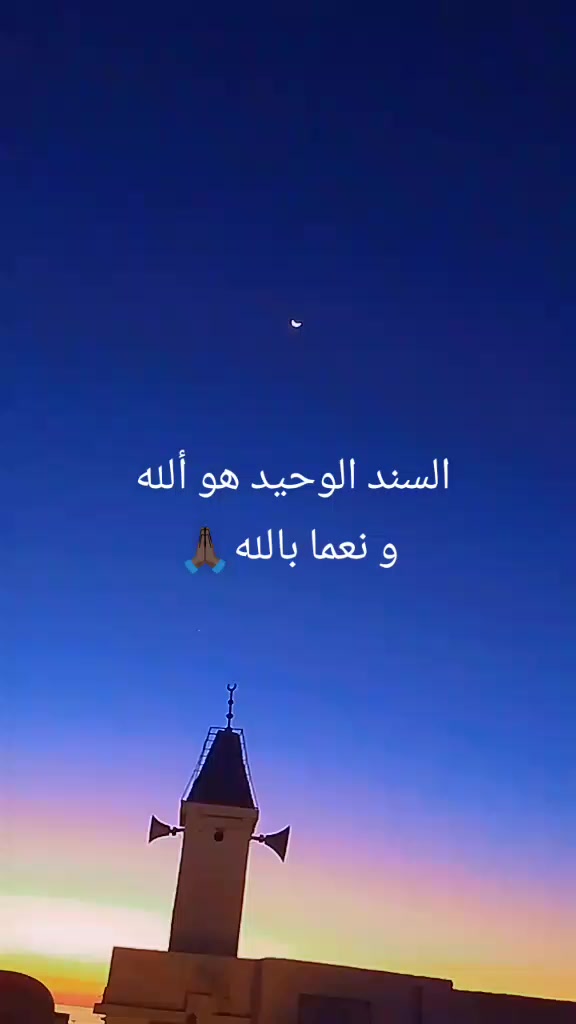 @dodi
