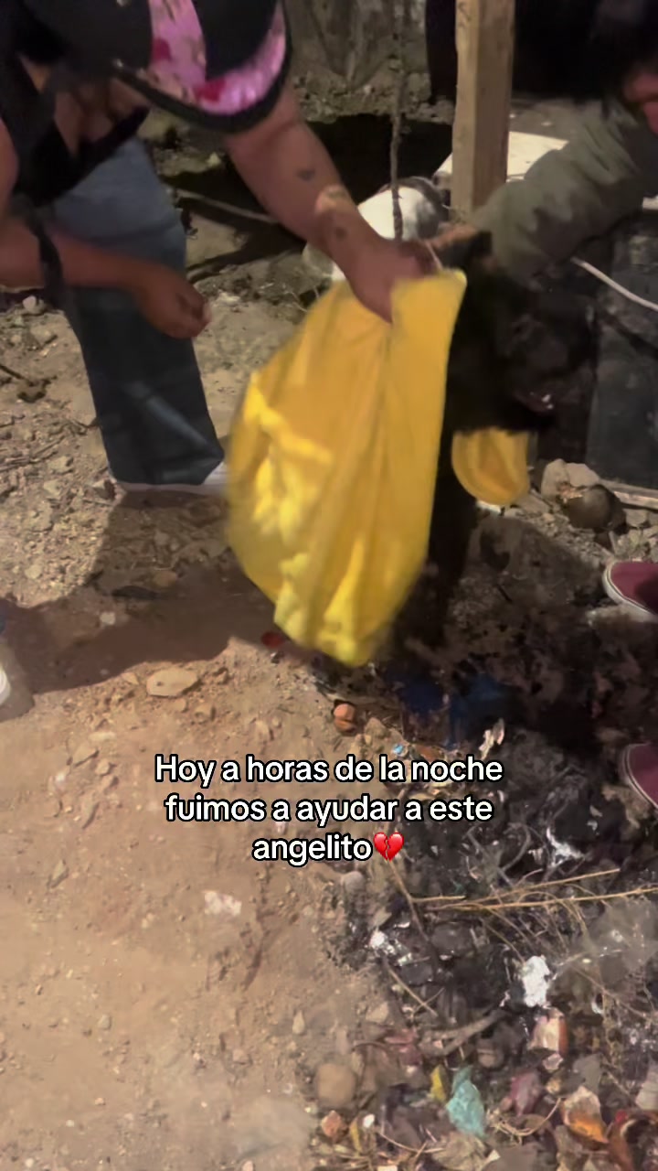 @Cómplices al rescate_11🐾