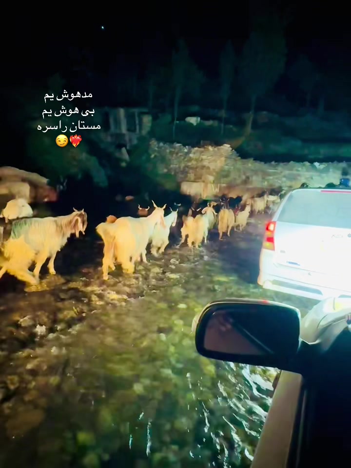@🧿🤍 Khas Yaran 🤍🧿