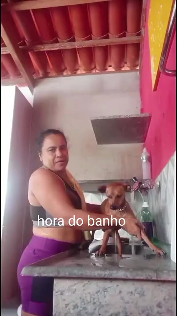@Bell adoro🌸✨