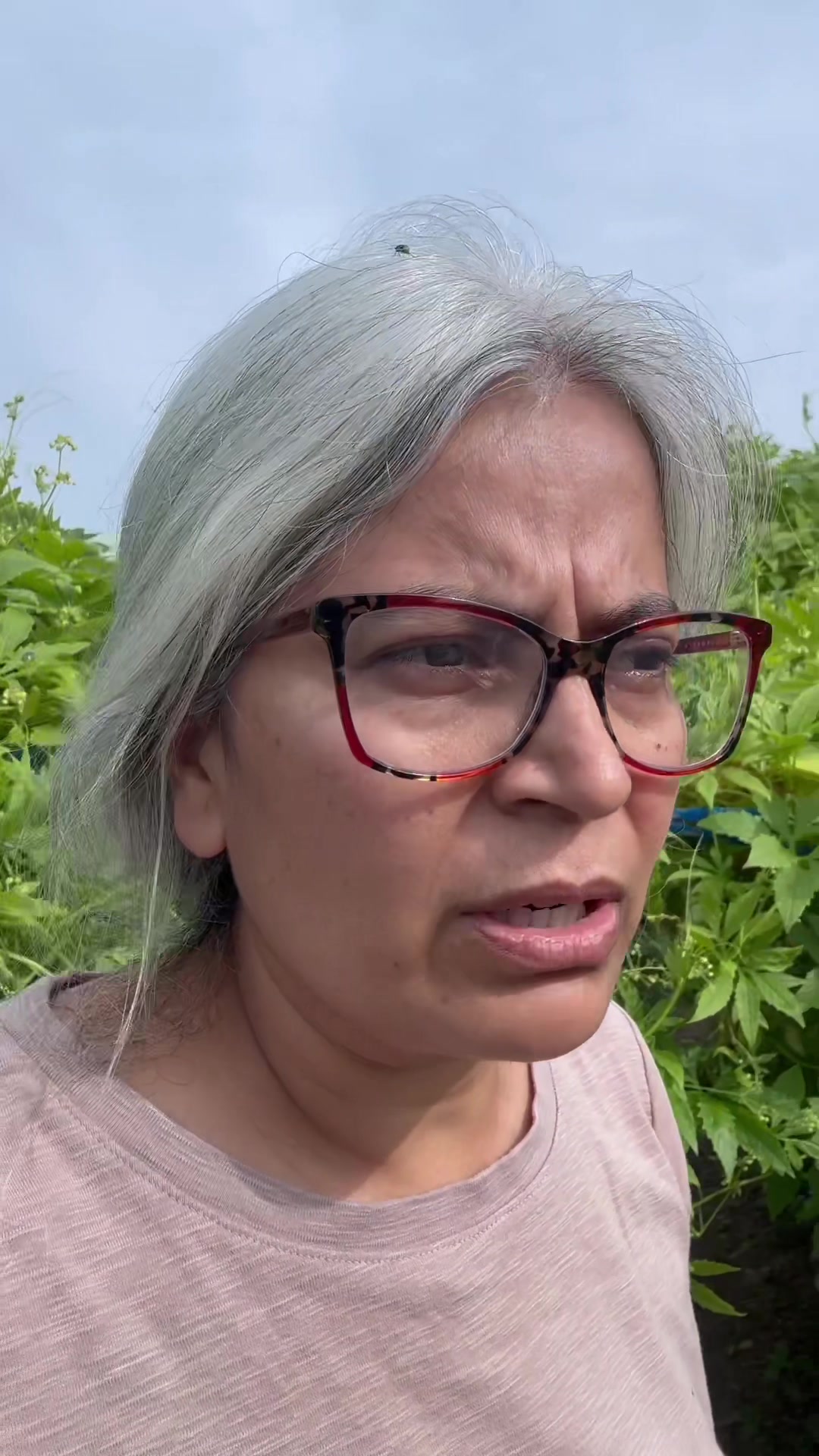 @आमा र जग्गुदिदी