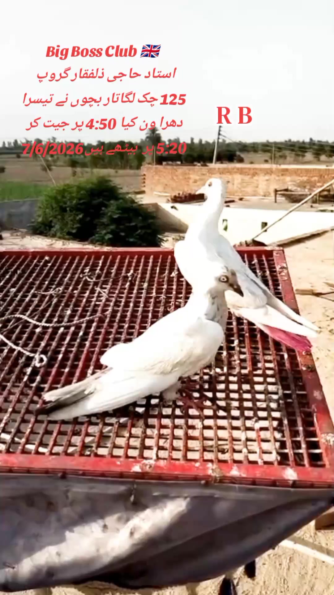 @Shok Jaranwala 25🕊️