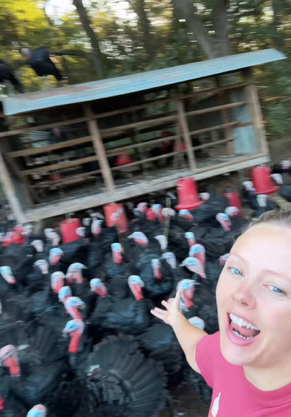 @farmerandtheharpiist