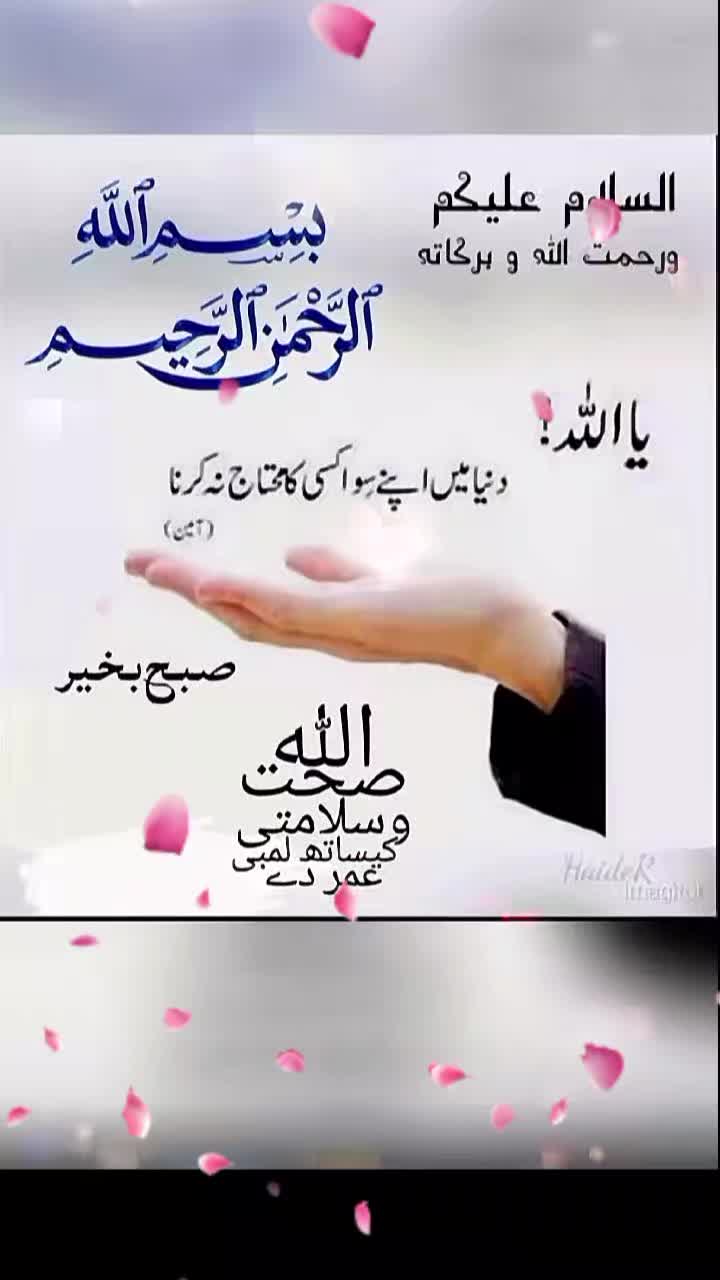 @Dua fatima
