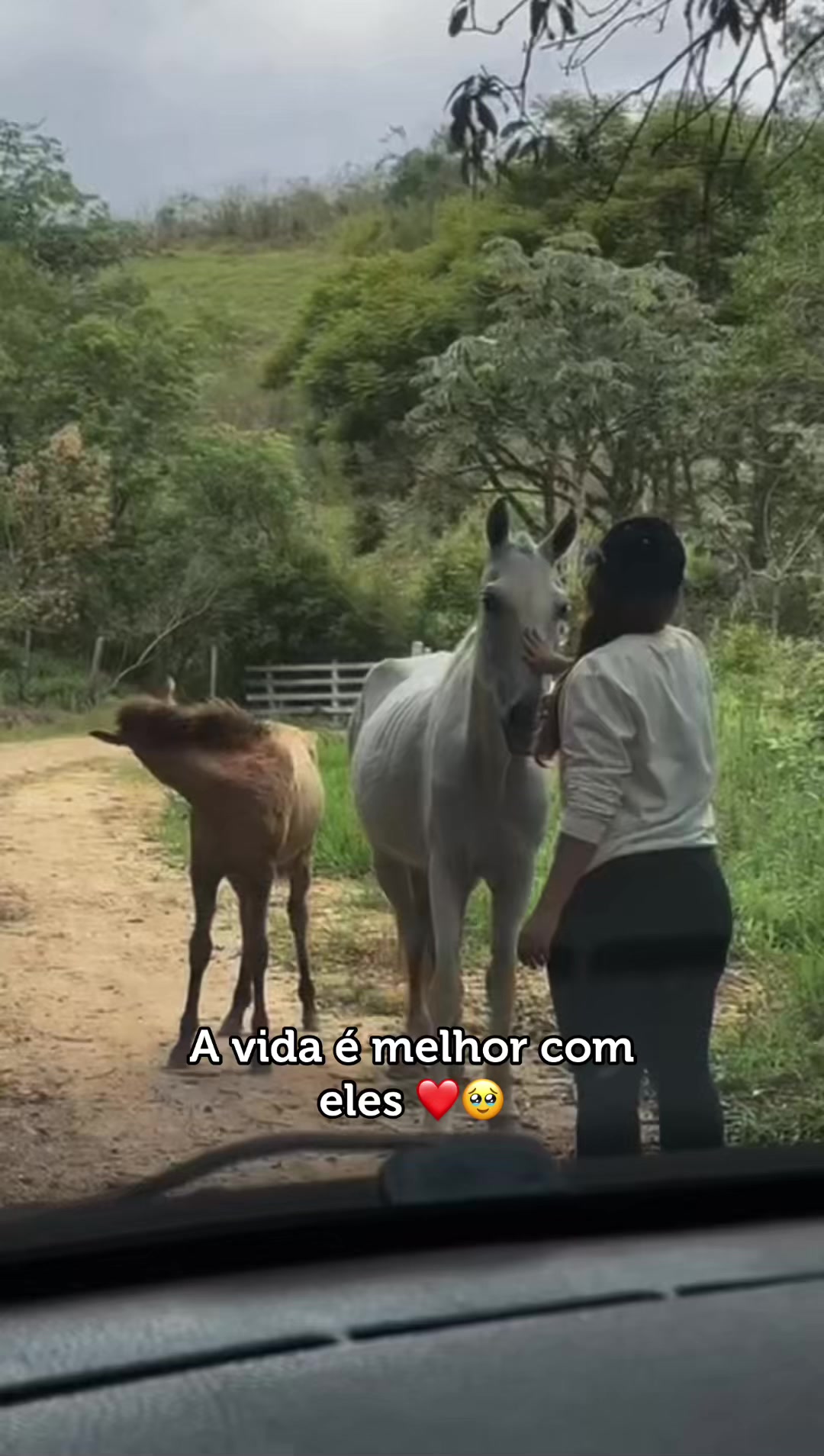 @Jade Carvalho