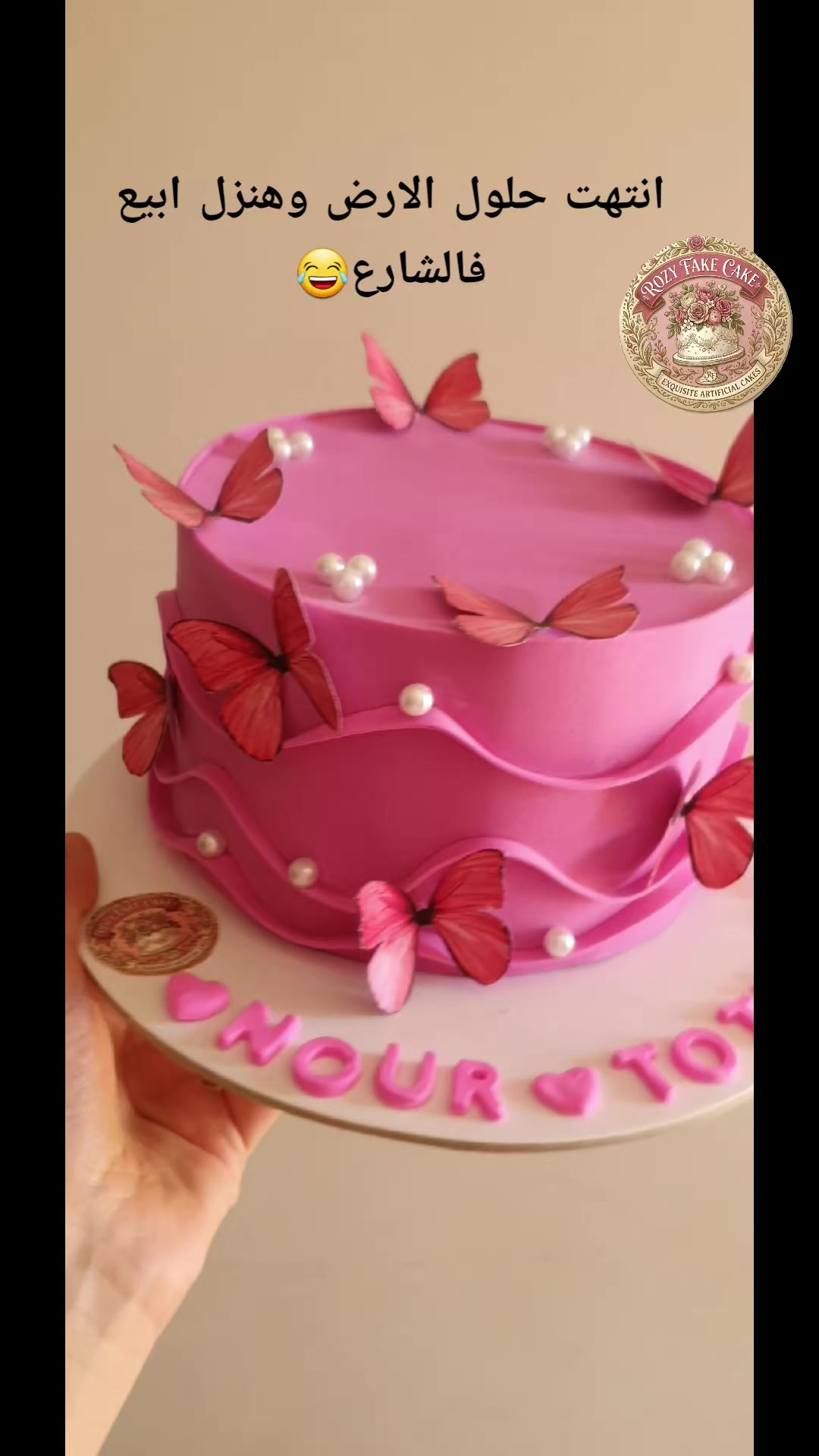 @Rozy Fake Cake📸📸