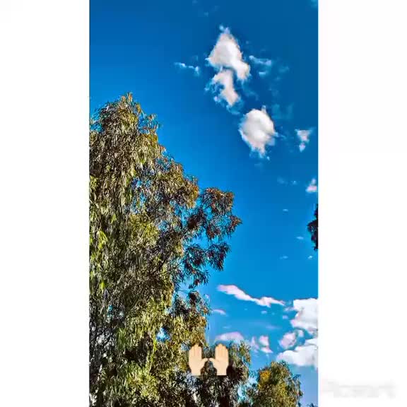 @👑 Aswad _ (7️⃣7️⃣7️⃣)