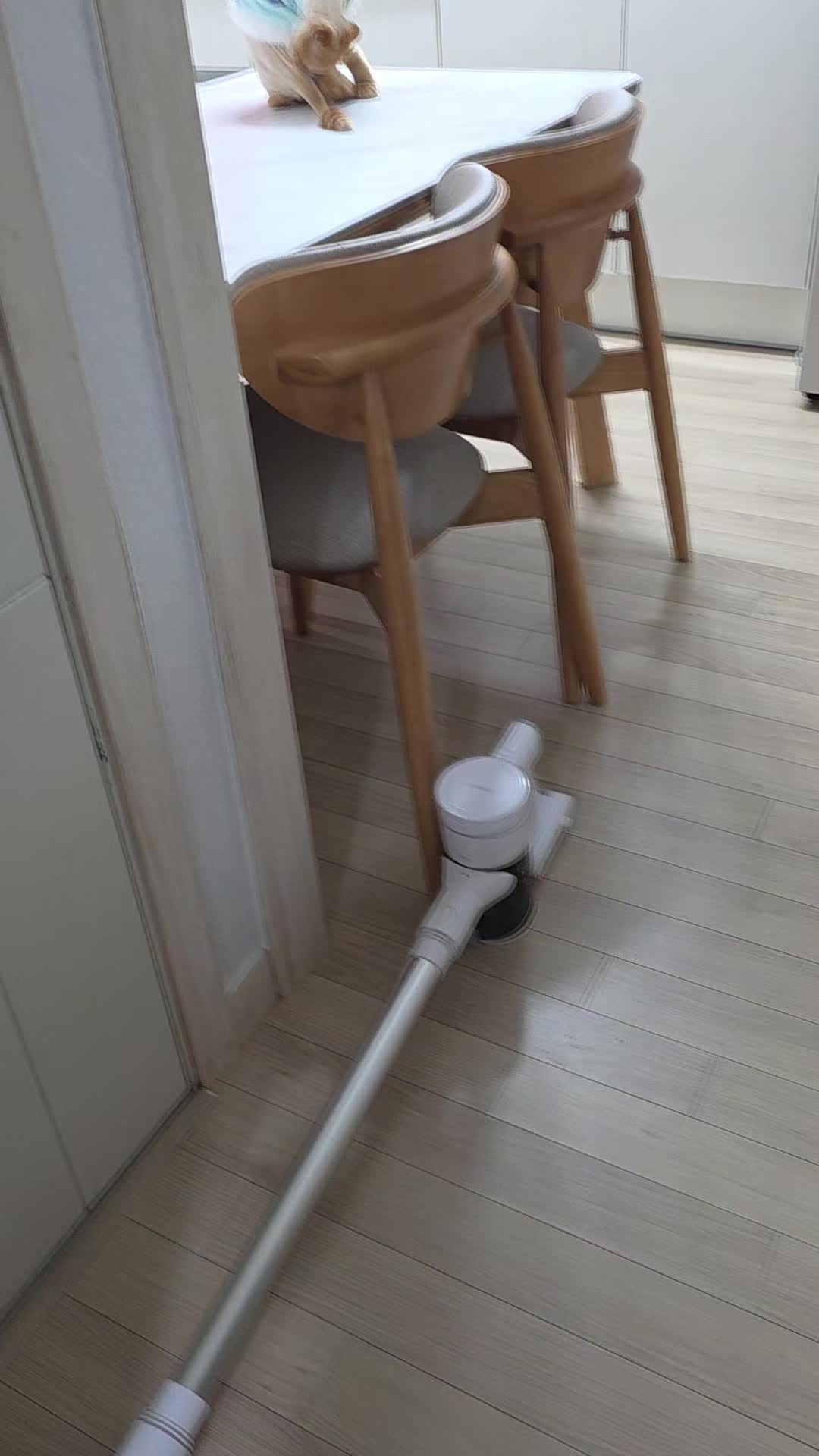 @8냥이 집사