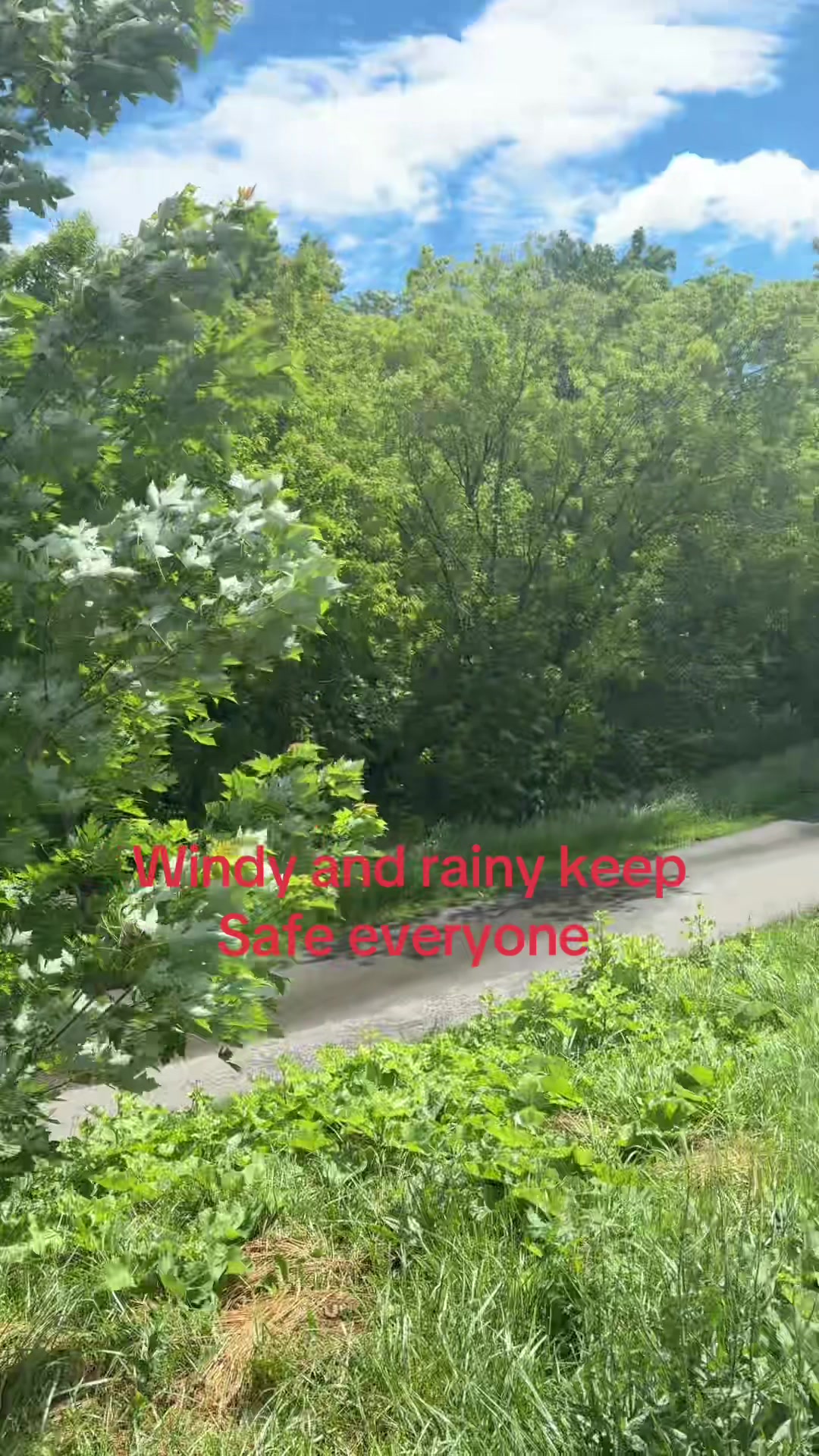 @Annmarie19